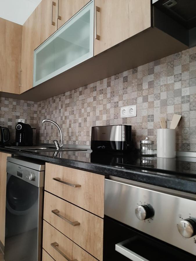 Santiago do CacémAlojamento Ferreira - Apartamento B公寓 外观 照片