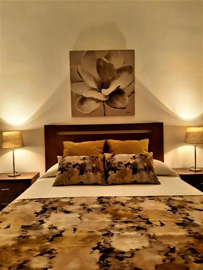 Santiago do CacémAlojamento Ferreira - Apartamento B公寓 外观 照片