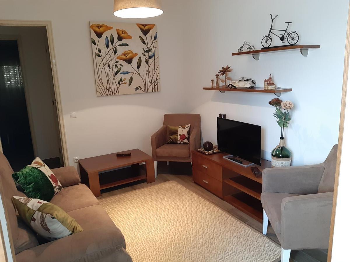Santiago do CacémAlojamento Ferreira - Apartamento B公寓 外观 照片